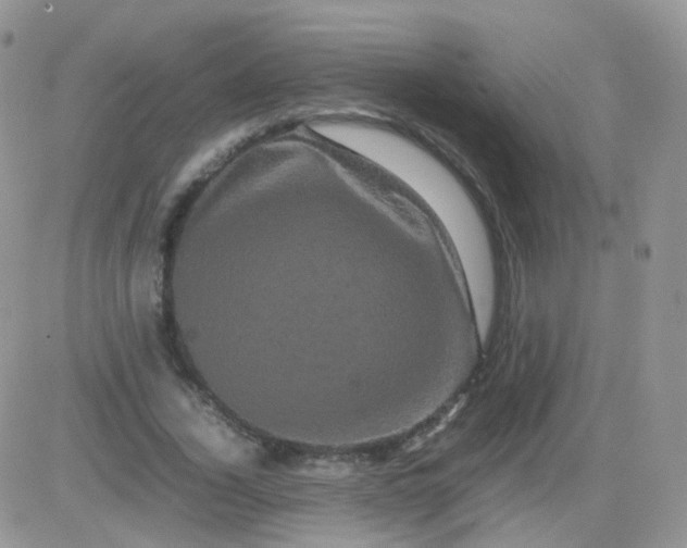 X0000081490732200701262053