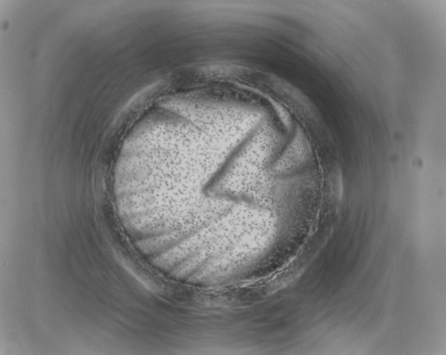 X0000081490733200701262053