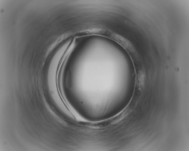 X0000081490734200701262053