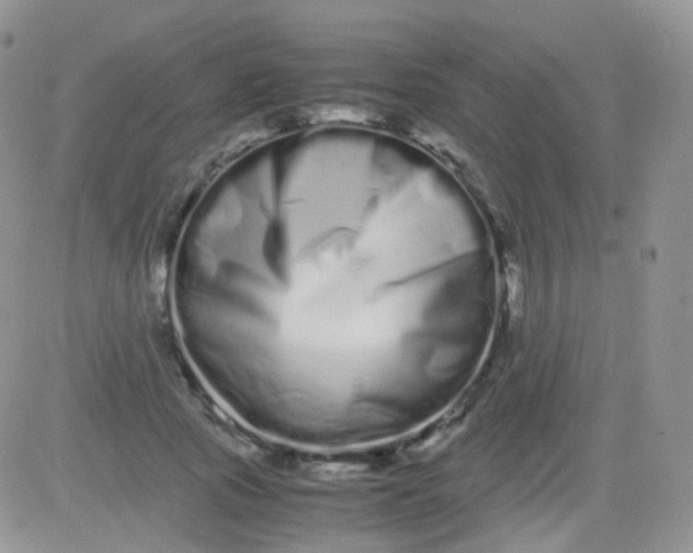 X0000081490737200701262053