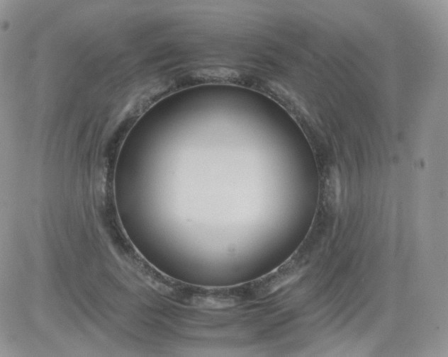 X0000081490739200701262053