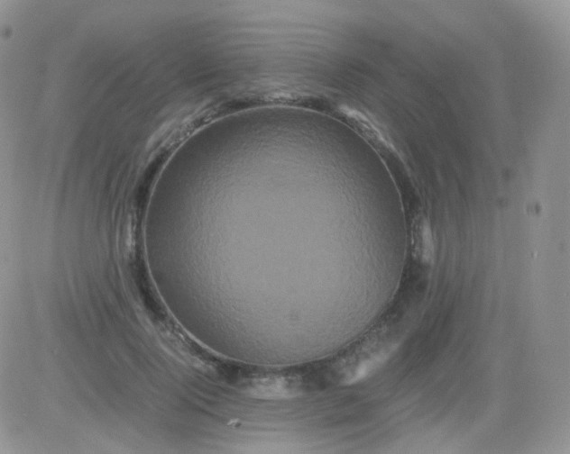 X0000081490740200701262053