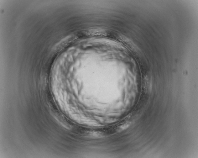 X0000081490741200701262053