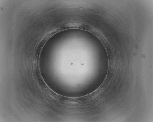 X0000081490743200701262053