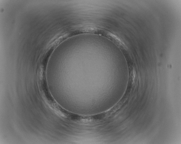 X0000081490744200701262053