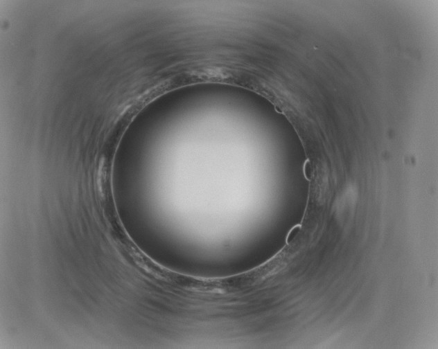 X0000081490747200701262053