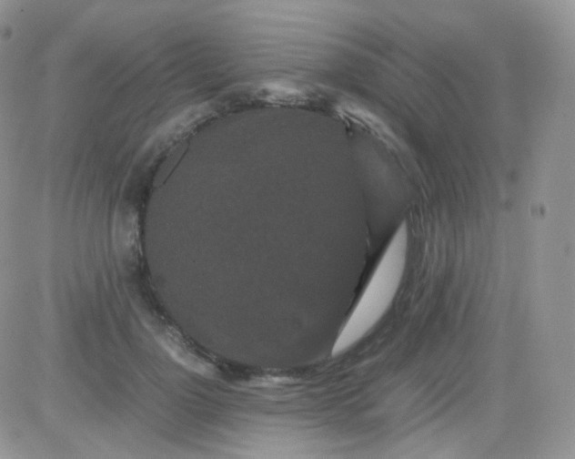 X0000081490748200701262053