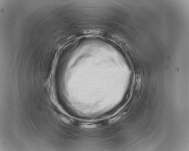 X0000081490749200701262053