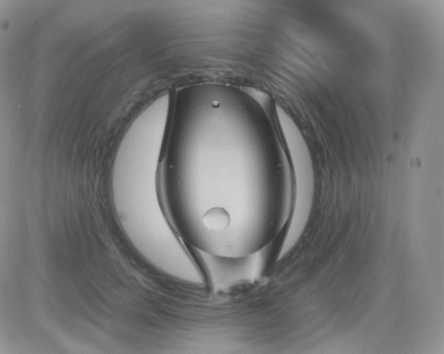 X0000081490750200701262053