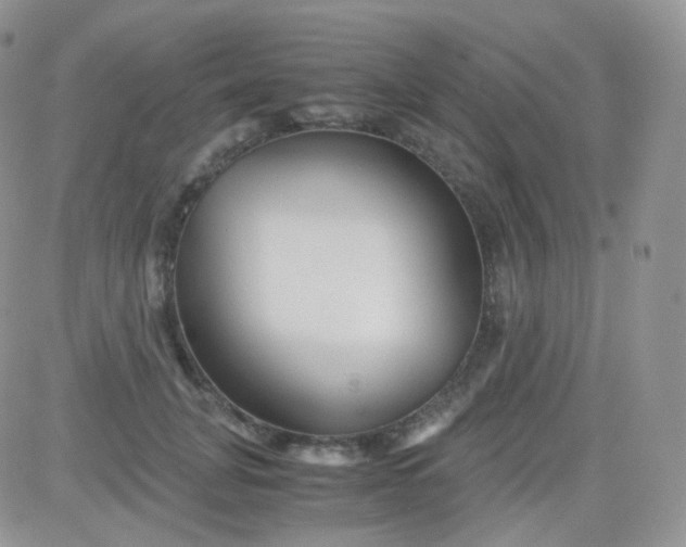 X0000081490751200701262053