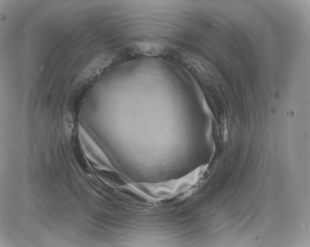 X0000081490752200701262053