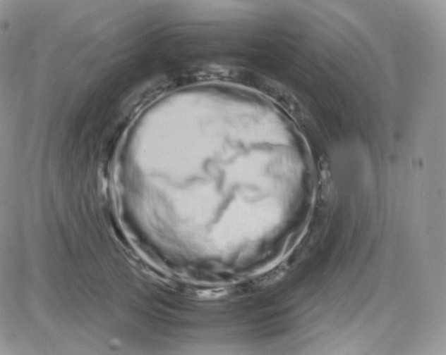 X0000081490753200701262053