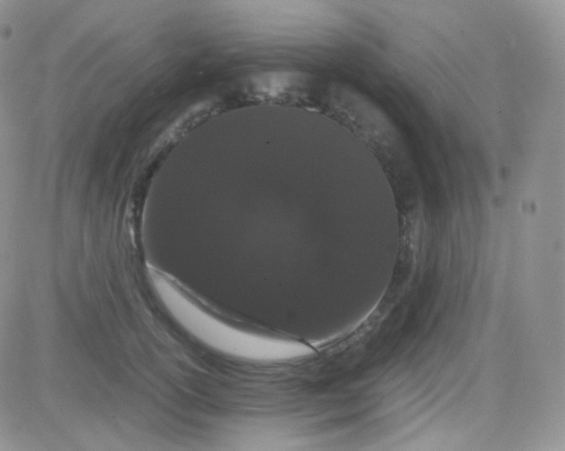 X0000081490754200701262053