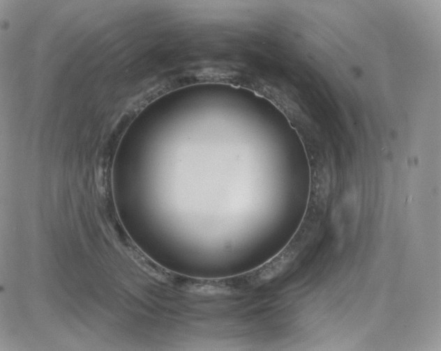 X0000081490755200701262053