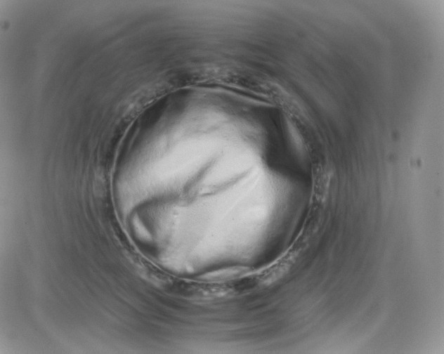 X0000081490757200701262053