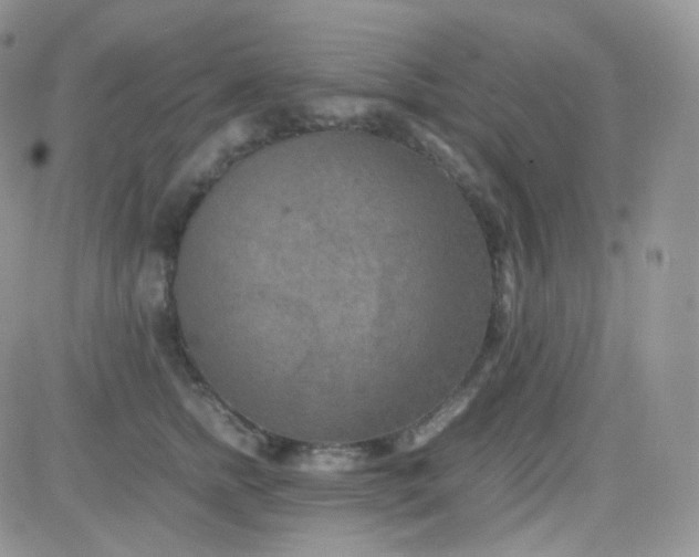 X0000081490758200701262053