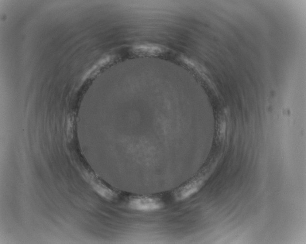 X0000081490759200701262053