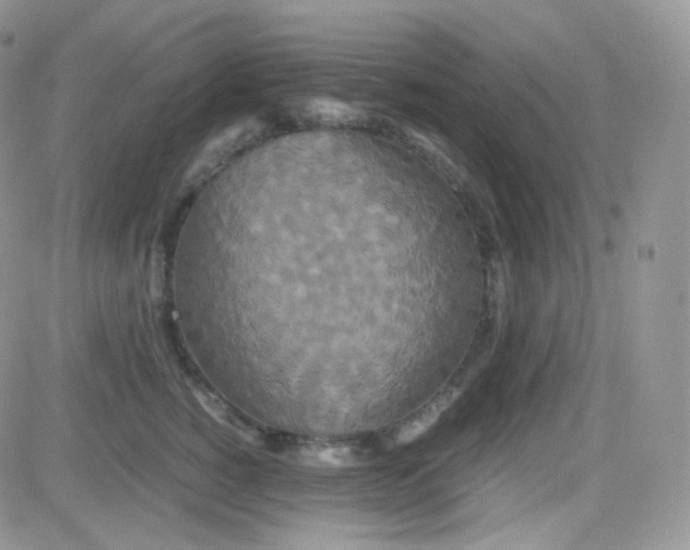 X0000081490760200701262053