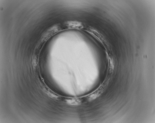 X0000081490761200701262053