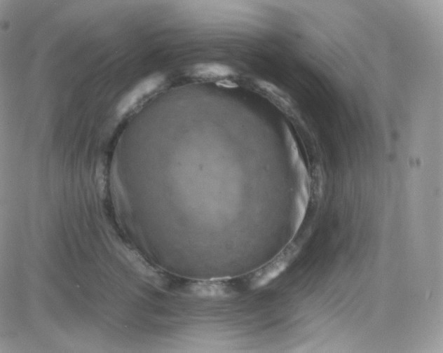 X0000081490762200701262053