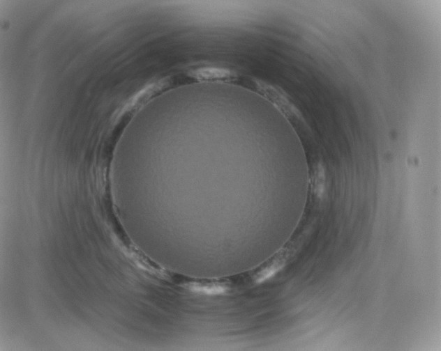 X0000081490763200701262053