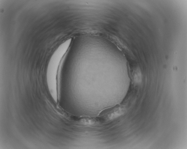 X0000081490764200701262053