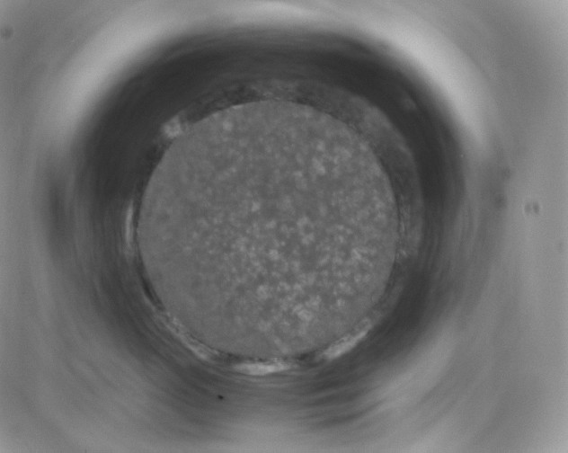 X0000081490765200701262053