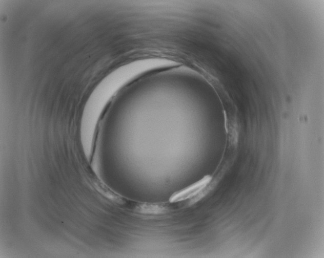 X0000081490766200701262053