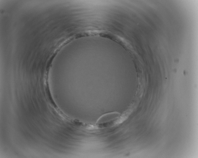 X0000081490768200701262054