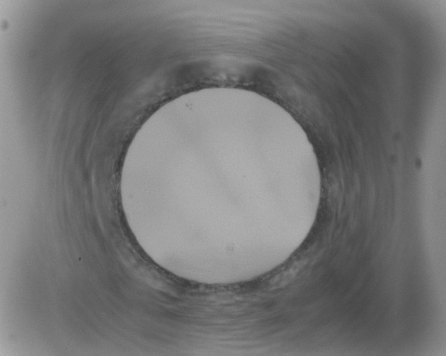 X0000081490769200701262053