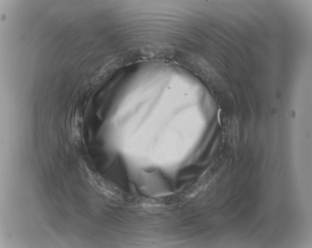 X0000081490770200701262053