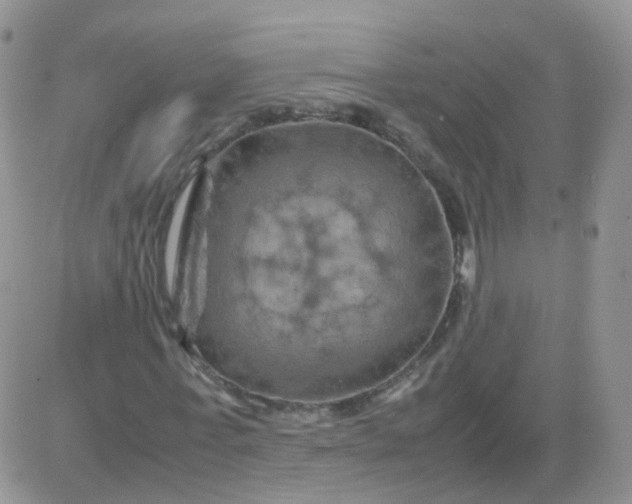 X0000081490771200701262053