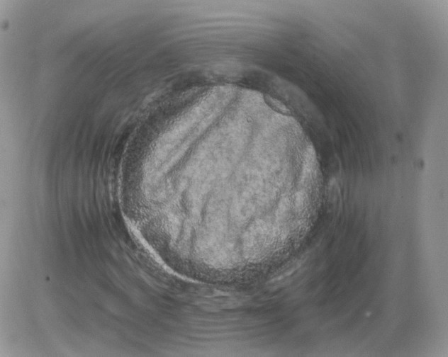 X0000081490772200701262053