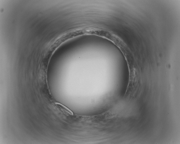 X0000081490773200701262053