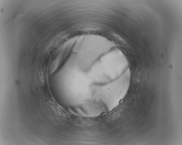 X0000081490774200701262053