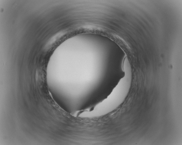 X0000081490776200701262053