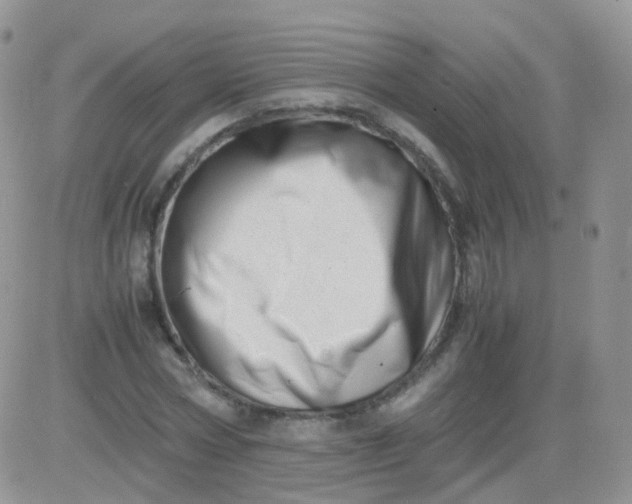 X0000081490778200701262053