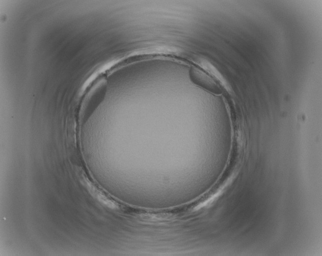 X0000081490781200701262053