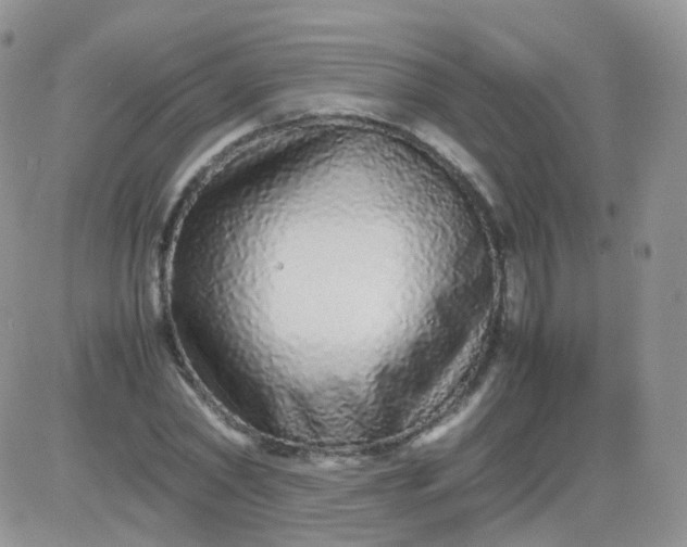 X0000081490782200701262053