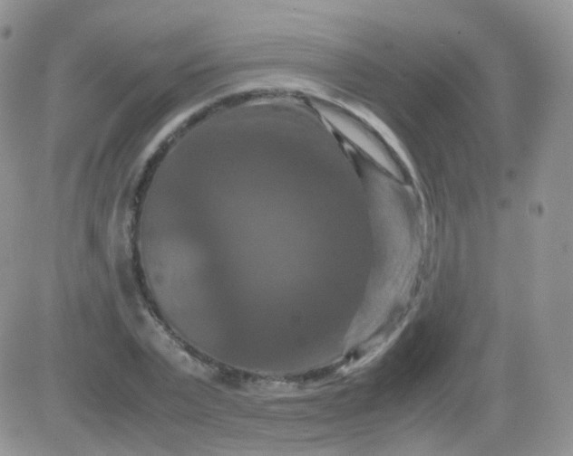 X0000081490783200701262053