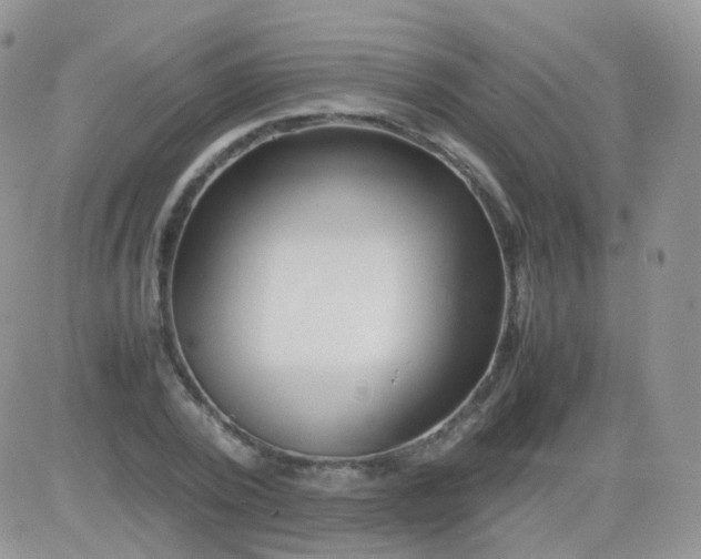 X0000081490784200701262052