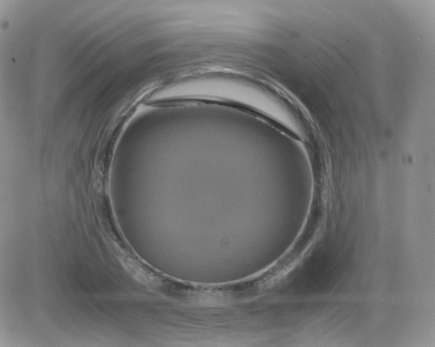 X0000081490785200701262052