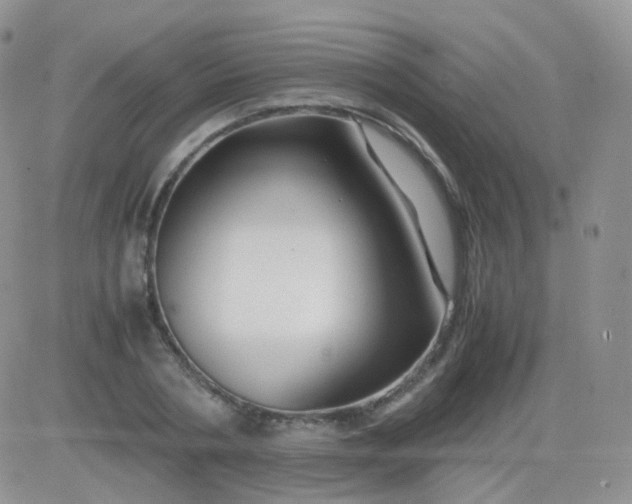 X0000081490786200701262052