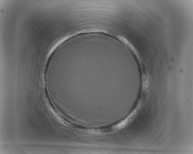 X0000081490789200701262052