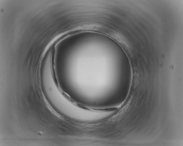 X0000081490792200701262052