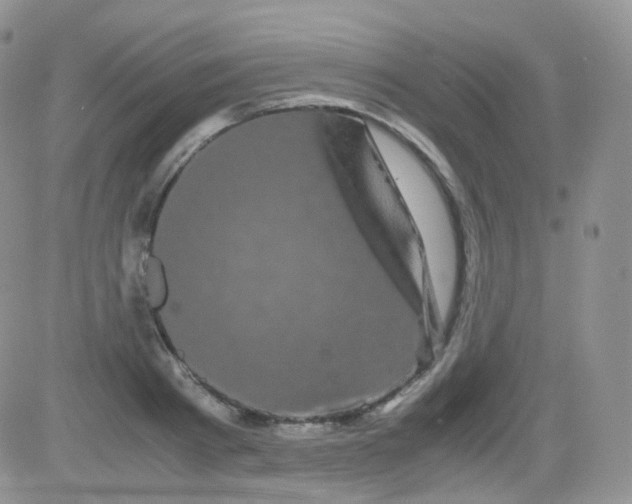 X0000081490793200701262052