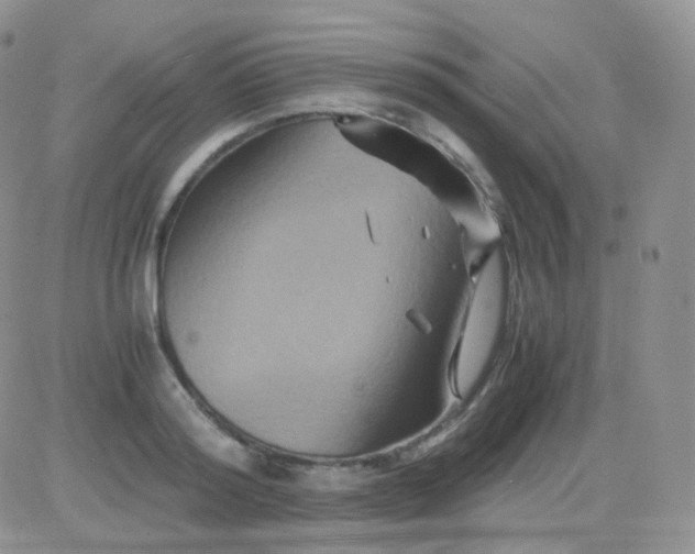 X0000081490796200701262052