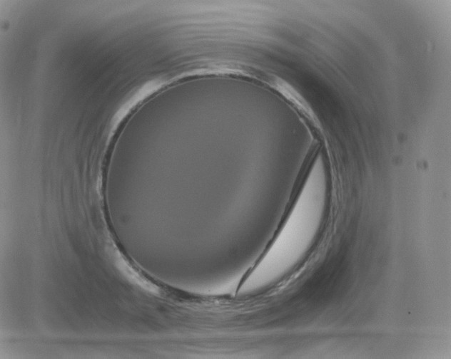 X0000081490797200701262052