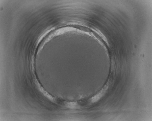 X0000081490798200701262052