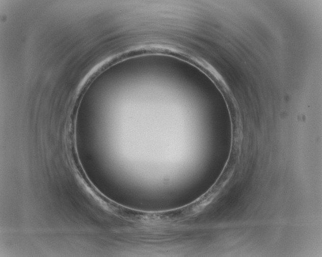 X0000081490799200701262052